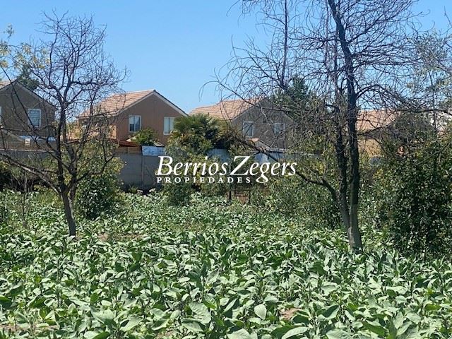 Sitio, Agrícola, Terreno Construccion en venta en San Bernardo - Berrios Zegers - Ficha de propiedad